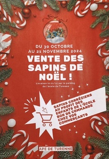 Vente de sapins de Noël