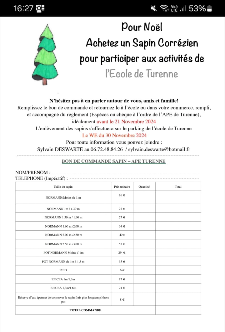 Vente de sapins de Noël