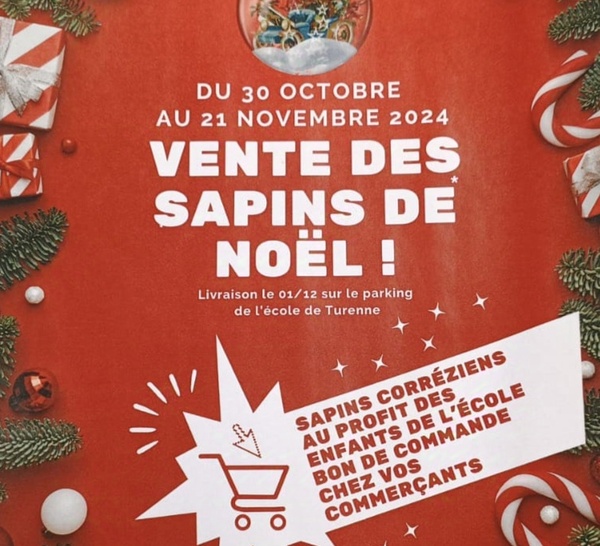 Vente de sapins de Noël